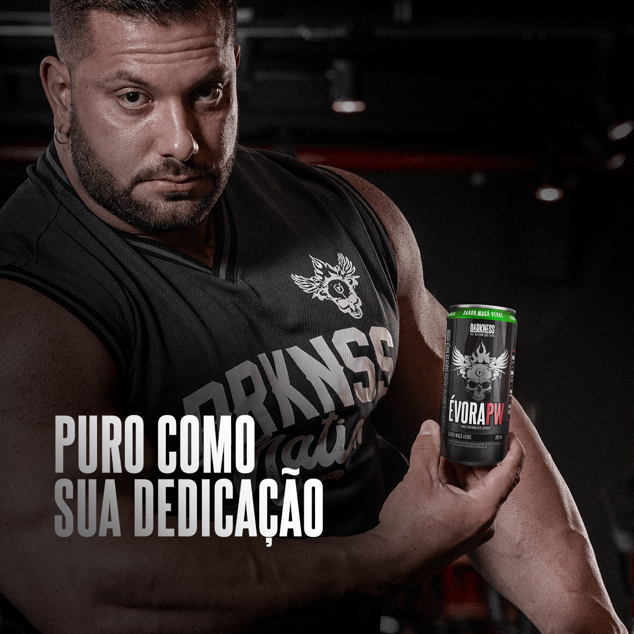 Évora Drink RTD Maça Verde 6 unid - 269 ml